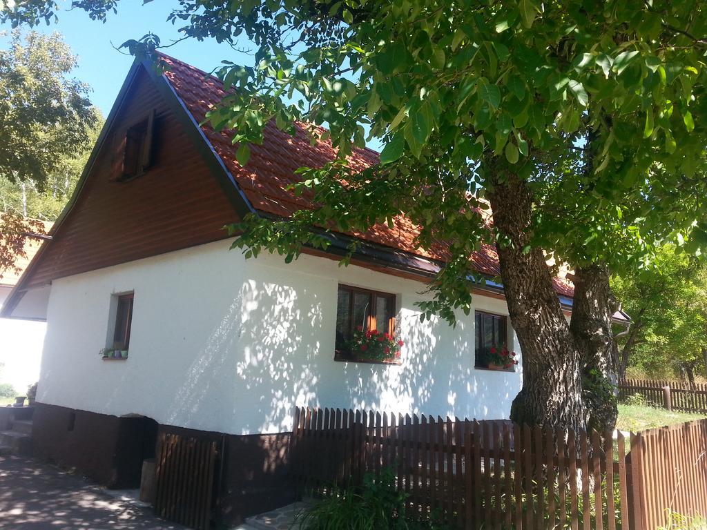 Holiday Home Rizvan City Brusane Bagian luar foto